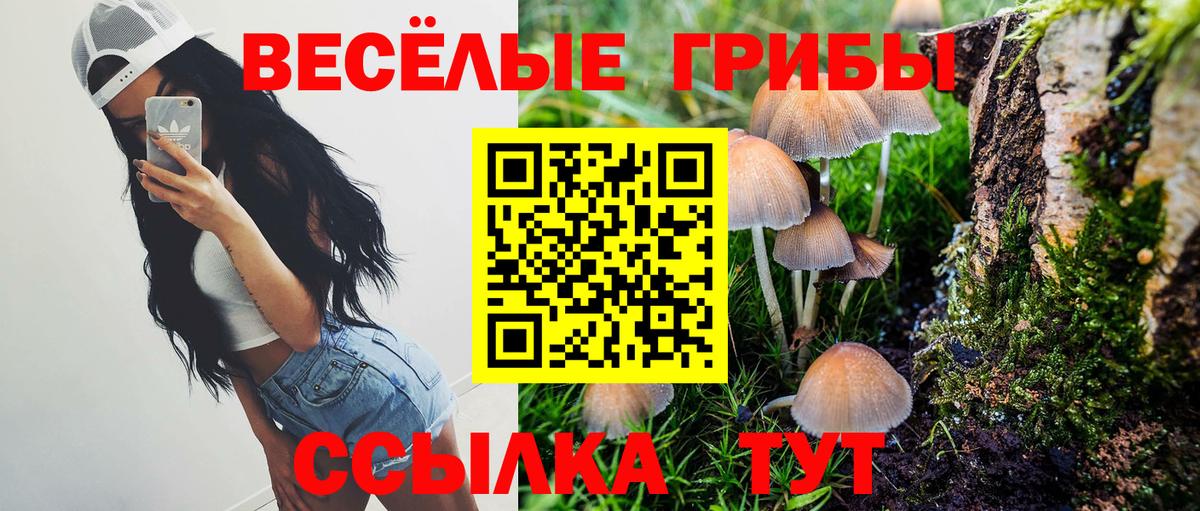 Галлюциногенные грибы Psilocybe Сарапул